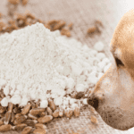 Dürfen hunde dinkel essen?