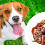 Dürfen Hunde Fischinnereien essen