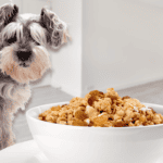 Dürfen Hunde Müsli Essen?