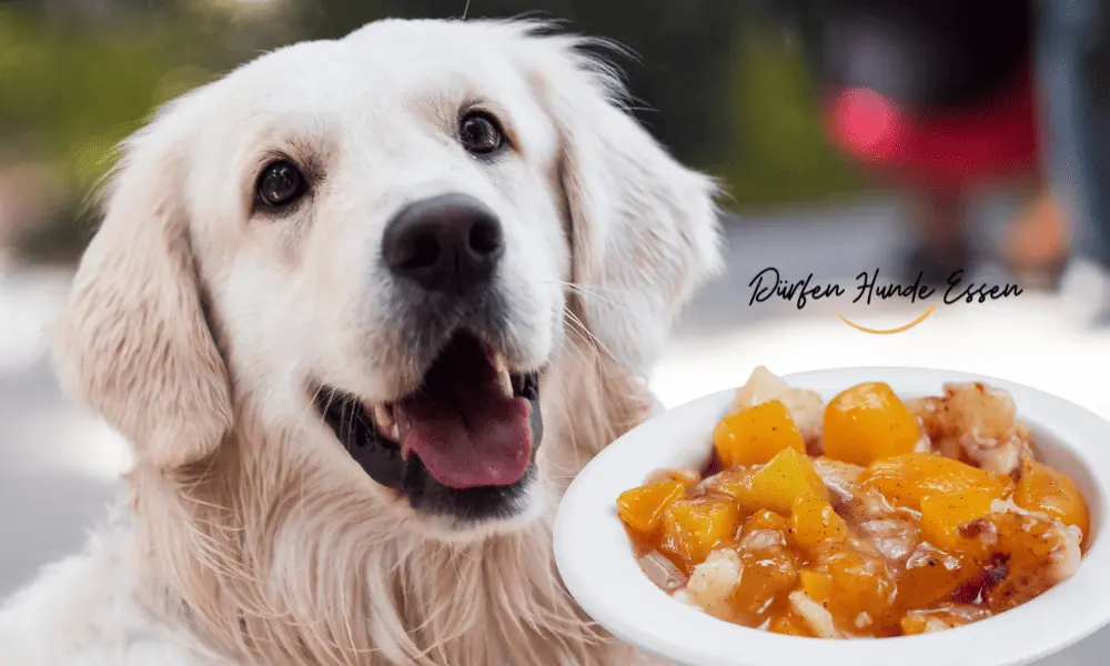 CAN-DOGS-EAT-PEACHES