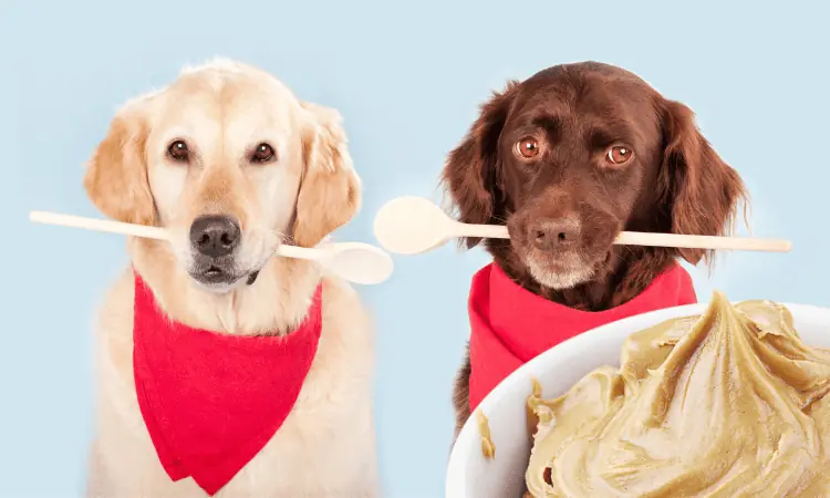 CAN-DOGS-EAT-PEANUT-BUTTER