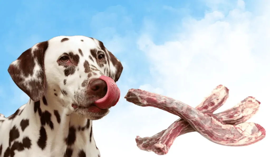 Can-Dogs-Eat-Goose-Neck-Main-Image