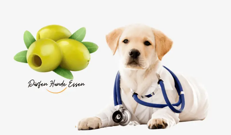 Risks-Of-Feeding-Your-Dog-Olives